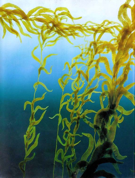 main-qimg-3bbcb8bd6636432f2049a1bcdc5d3f83-c