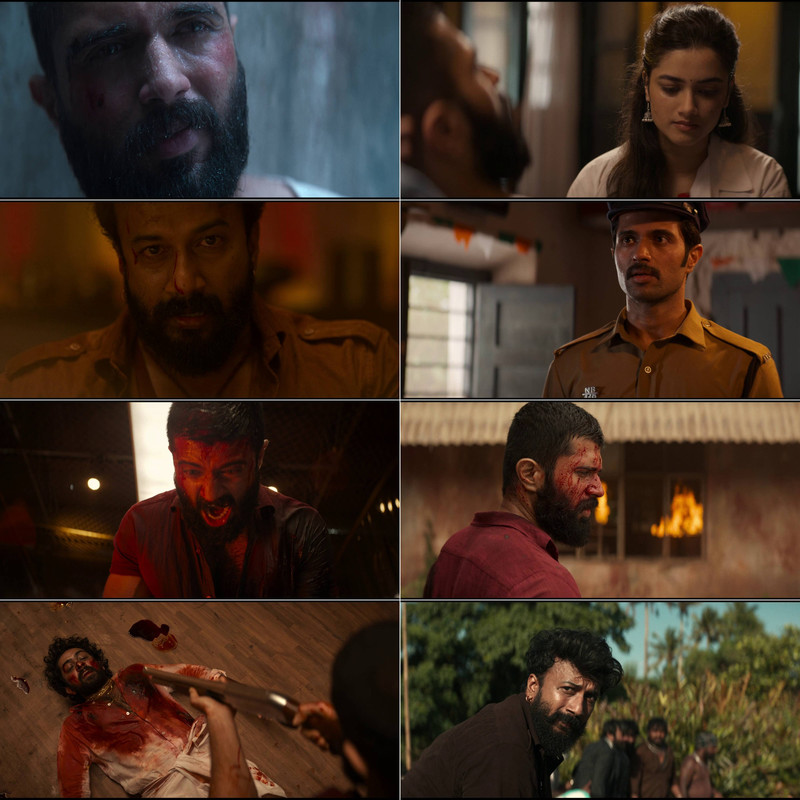 Kingdom (2025) Dual Audio [Hindi & Telugu] Full Movie HD ESub screenshot