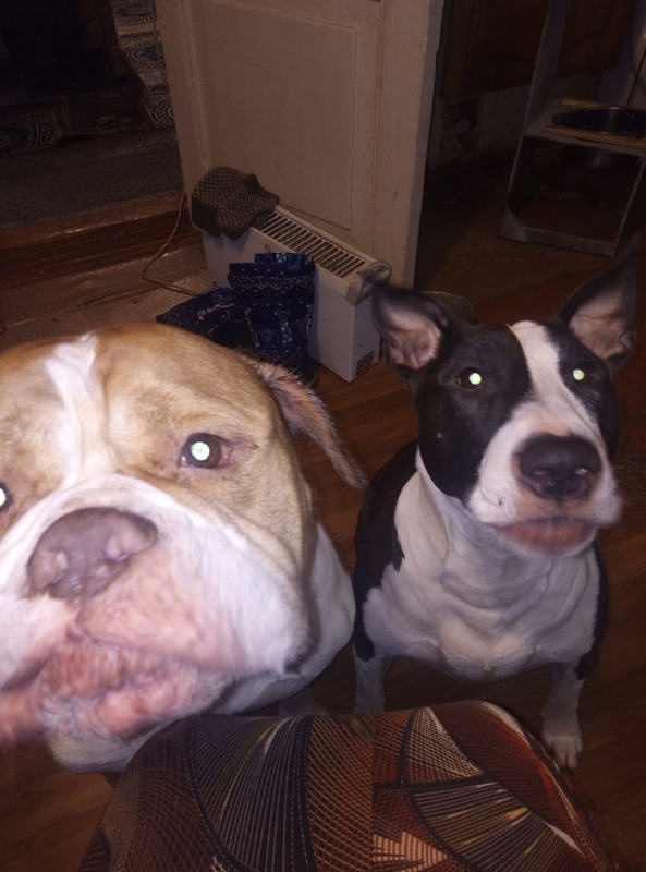 C02FDE34-3542-47EC-90CD-E2D38F18E38D