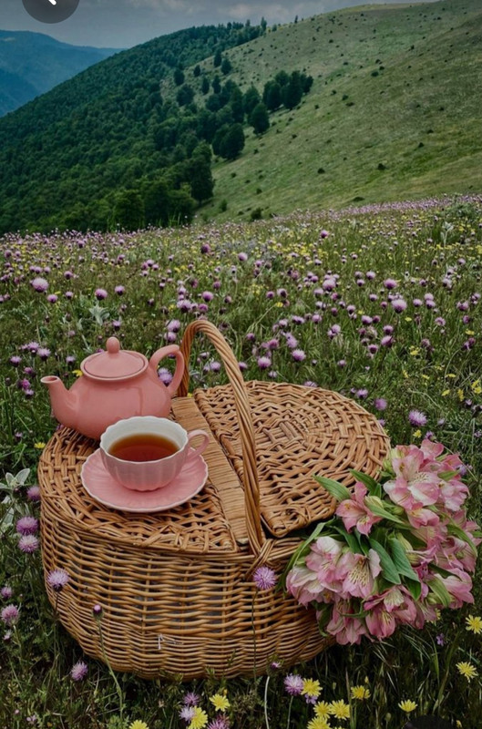 Screenshot_20230616_123355_Pinterest