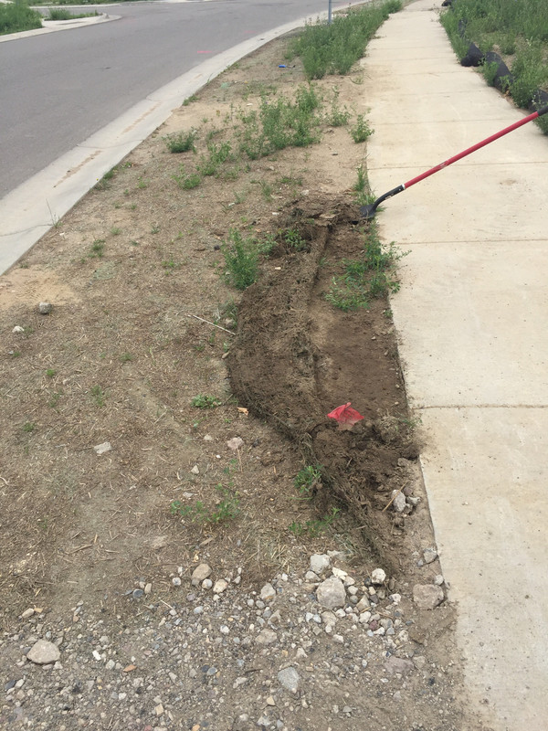 66BA1E90-E47E-437E-AC5D-7B5B8542074E