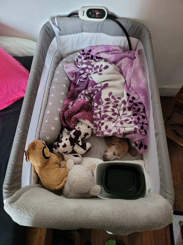 [Image: 20220224-095000.jpg]