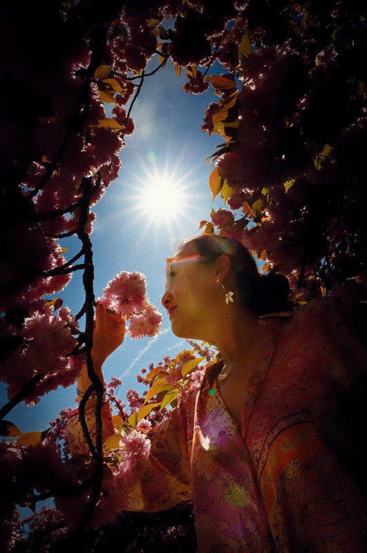 Tintin 2025 (347)_DxO-1_Radiant