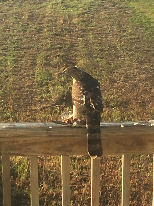 8F82B1DB-B795-4C08-8BA7-A7C00670F72D