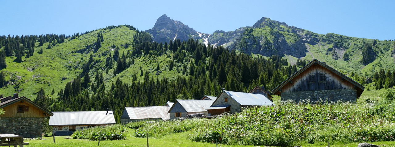green-france-alps.jpg