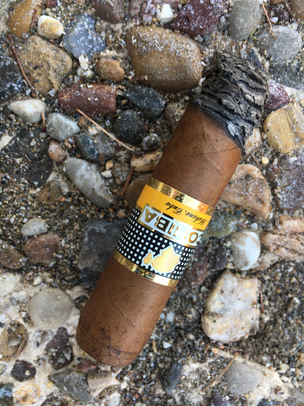 DD2CF467-254F-4126-BEE9-D6793443E506