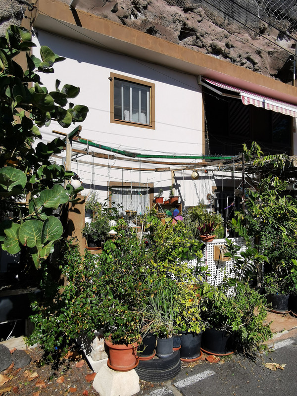 IMG_20240103_123301_edit_88353485581829