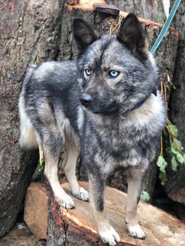 WhatsApp Image 2022-09-07 at 15.50.11 (1)