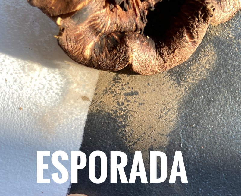 2021-10-12 17-22-32 (2)