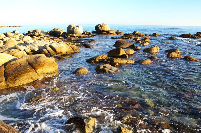 CALELLA DE PALAFRUGELL-21-11-2017 - Gerona y sus pueblos-2016/2017 (16)