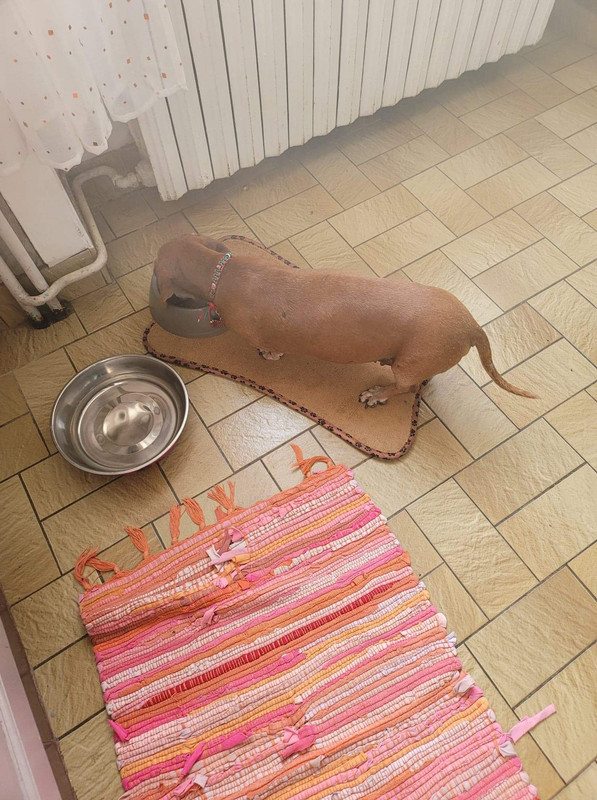 [Image: BA64-AD1-A-ED76-41-A8-BB98-54-DA381-A5-FE9.jpg]