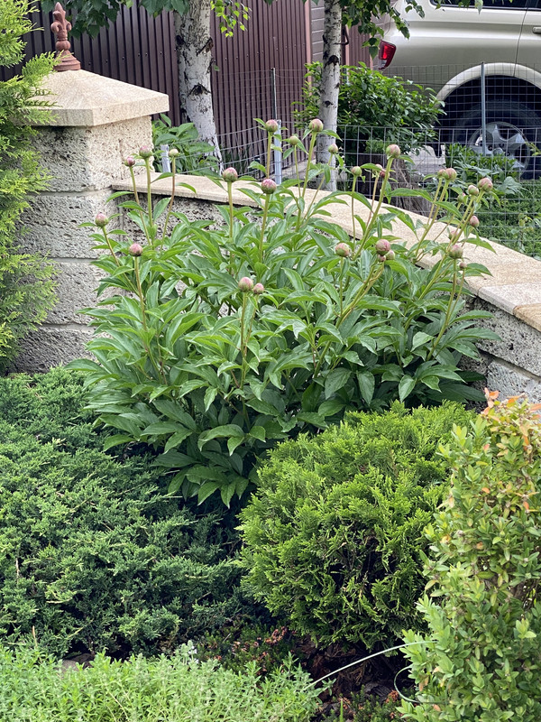 AB18DD2D-E328-47E6-B580-4D98C5052026