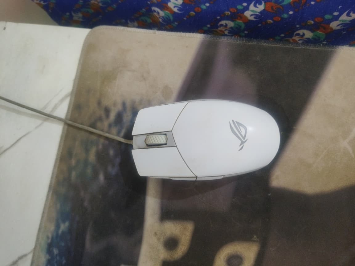 Whats App Image 2026 02 11 at 2 18 42 PM