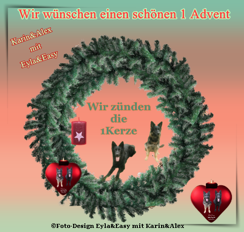 An den Beitrag angehängtes Bild: https://i.postimg.cc/D0jVL0zk/advent1.png