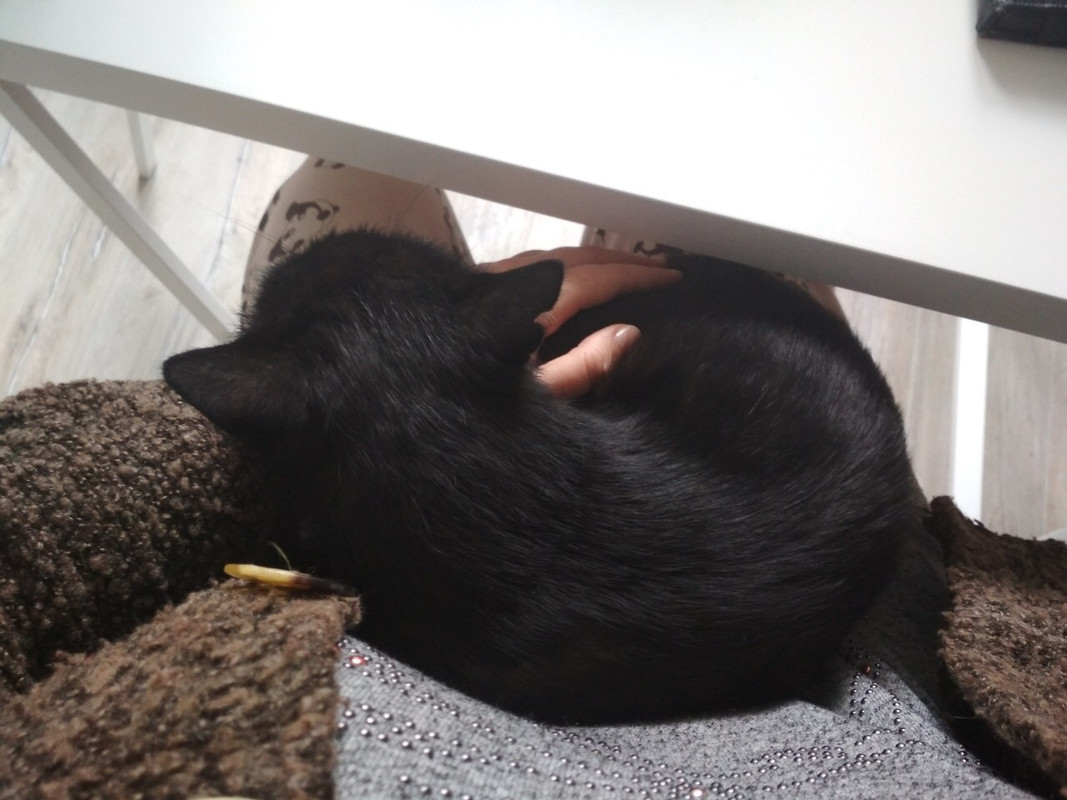 9CCDA30E-E7B2-40E0-AEC3-384AD6FE82DA