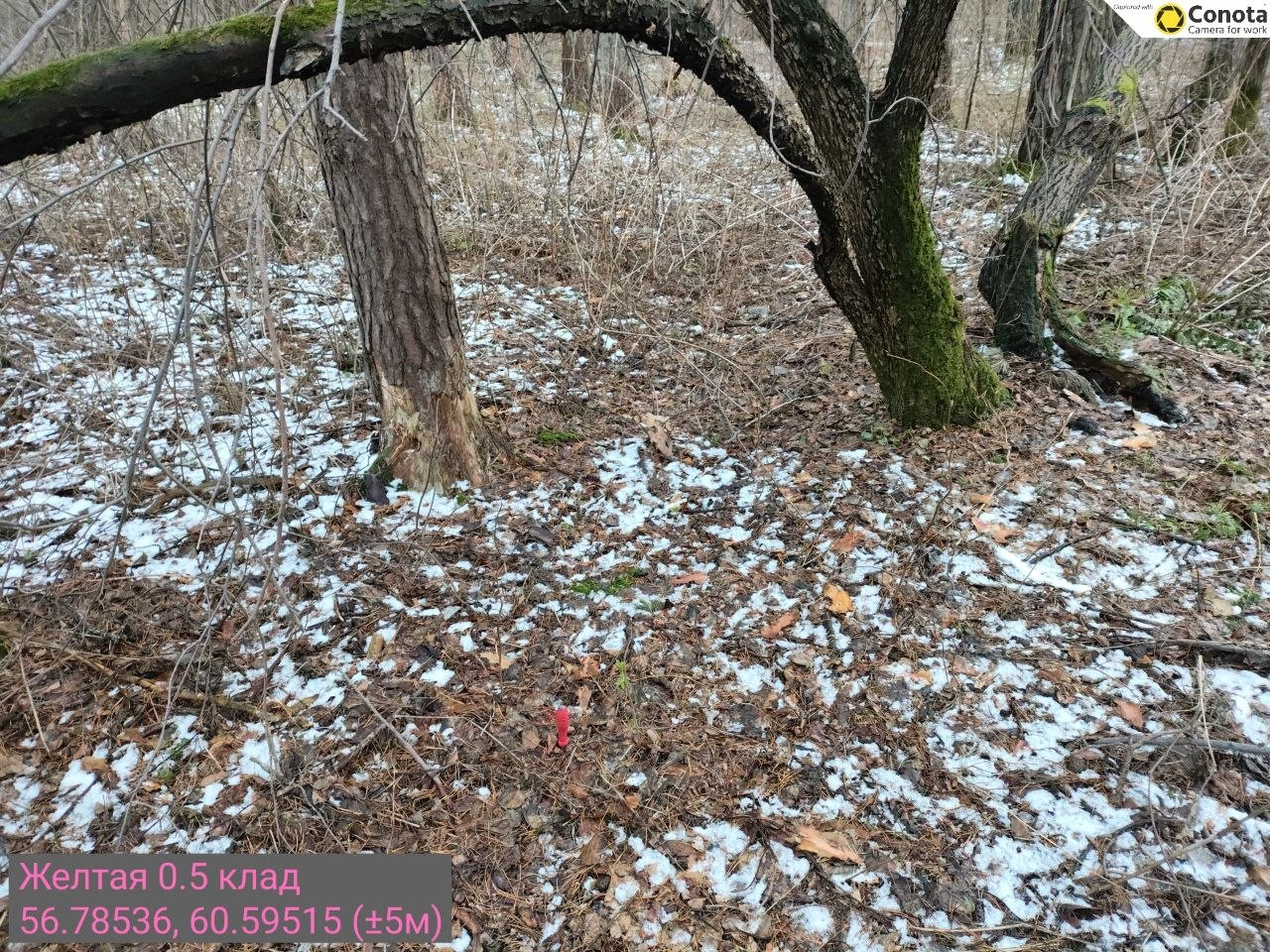 photo 2026 04 11 19 45 15
