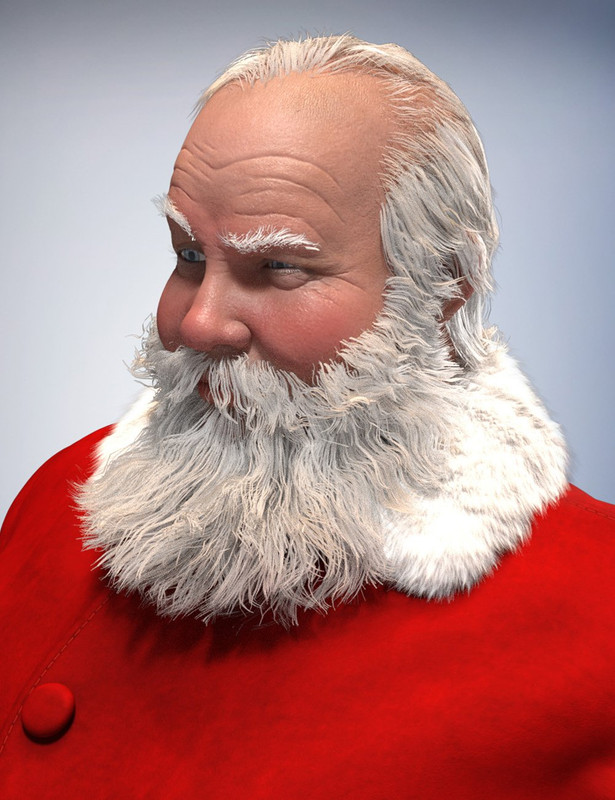 Santa Claus Hair Santa Claus Hair