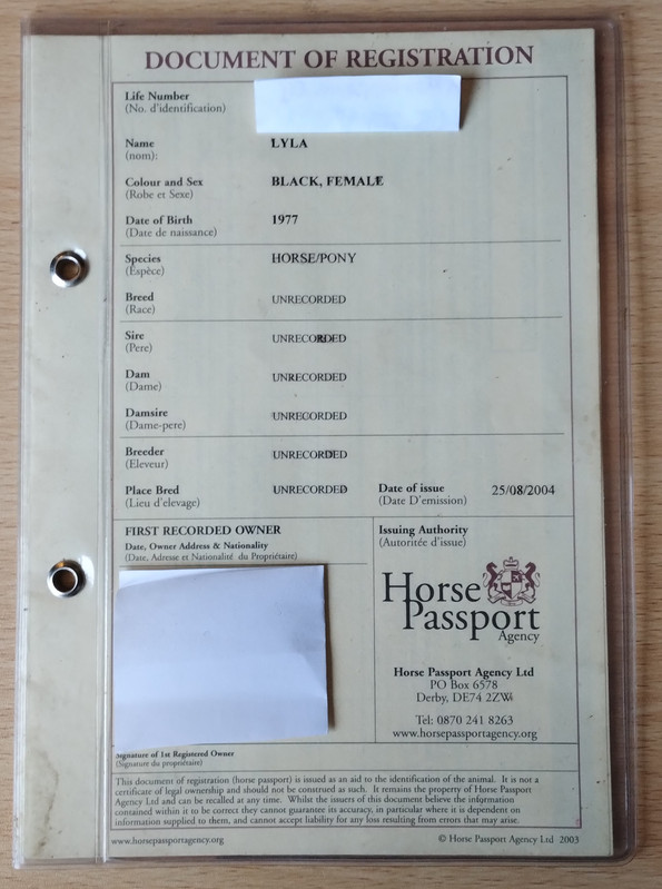 IMG 20260309 163118432(1)