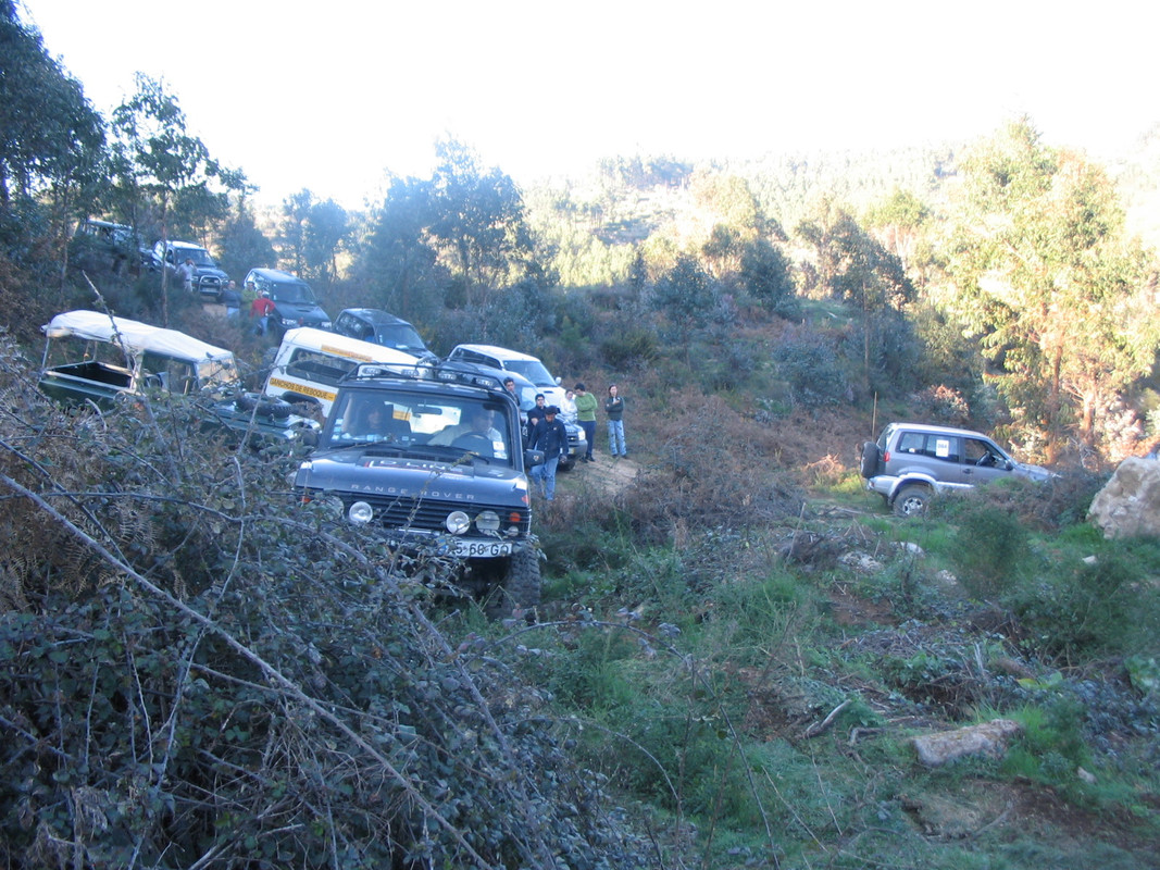 IMG-1732.jpg