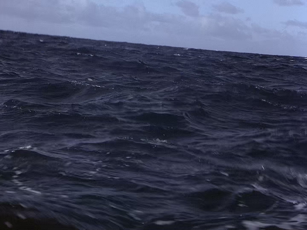 Magnum.P.I.S04E01.1080p.BluRay.x265-KONTRAST.mkv_frame05