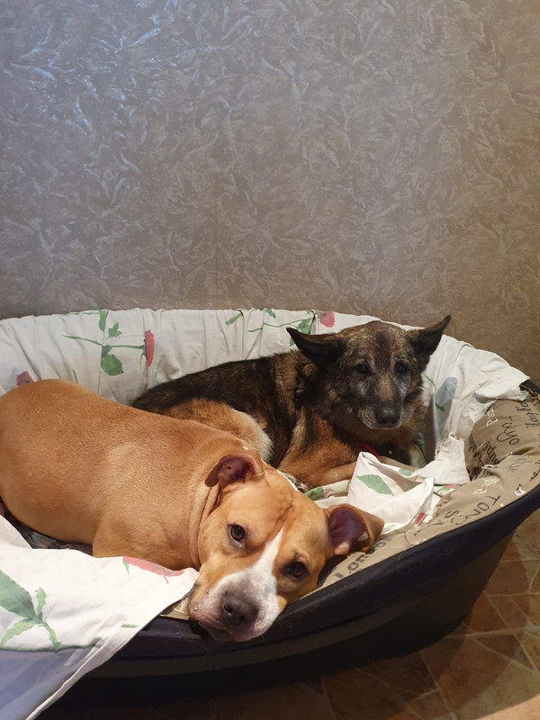 A3927CDF-291B-4496-ABF7-0FD14CC607FB