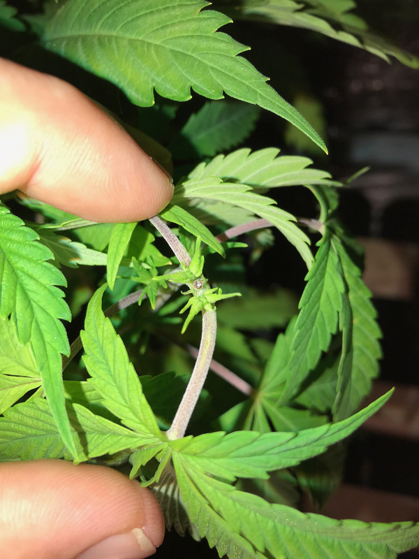 774CB78A-9511-4880-B828-3158E42A4B5C