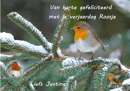 Welkom bij powerpoint Roosje