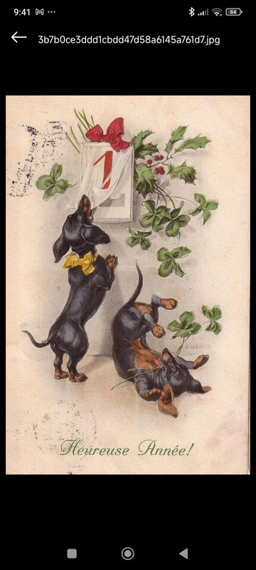 [Image: IMG-20260101-WA0002.jpg]