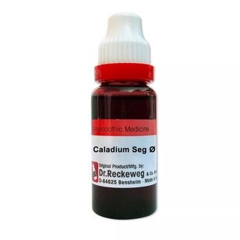 Dr. Reckeweg Caladium Seguinum 1X (Q) (20ml)