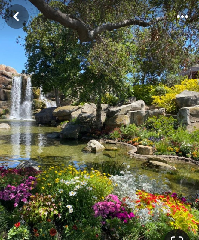 Screenshot_20240331_163602_Pinterest