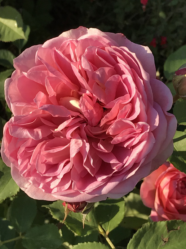 22AE803F-94D7-4F9D-86C0-A016F649C20F