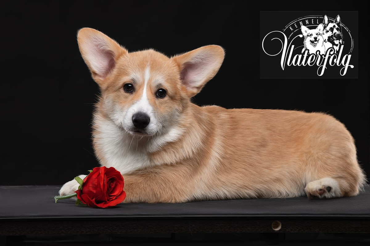 167638963_4257022200974964_8997045158020816795_n (1)