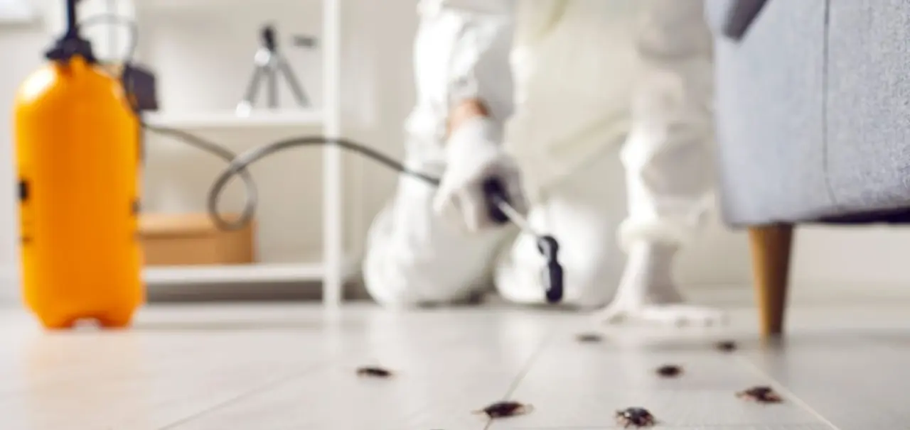 شركة الفرسان للأعمال المنزلية