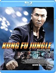 Kung Fu Jungle (2014) WebDL 1080p E-AC3 ITA + SUB