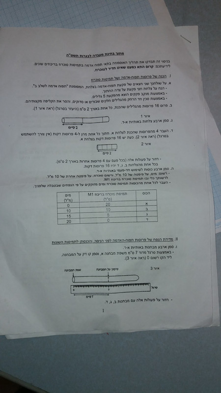 IMG-20230129-WA0002