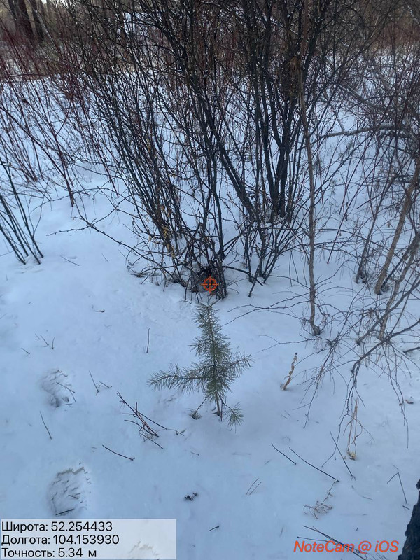 IMG 20260223 110202 673