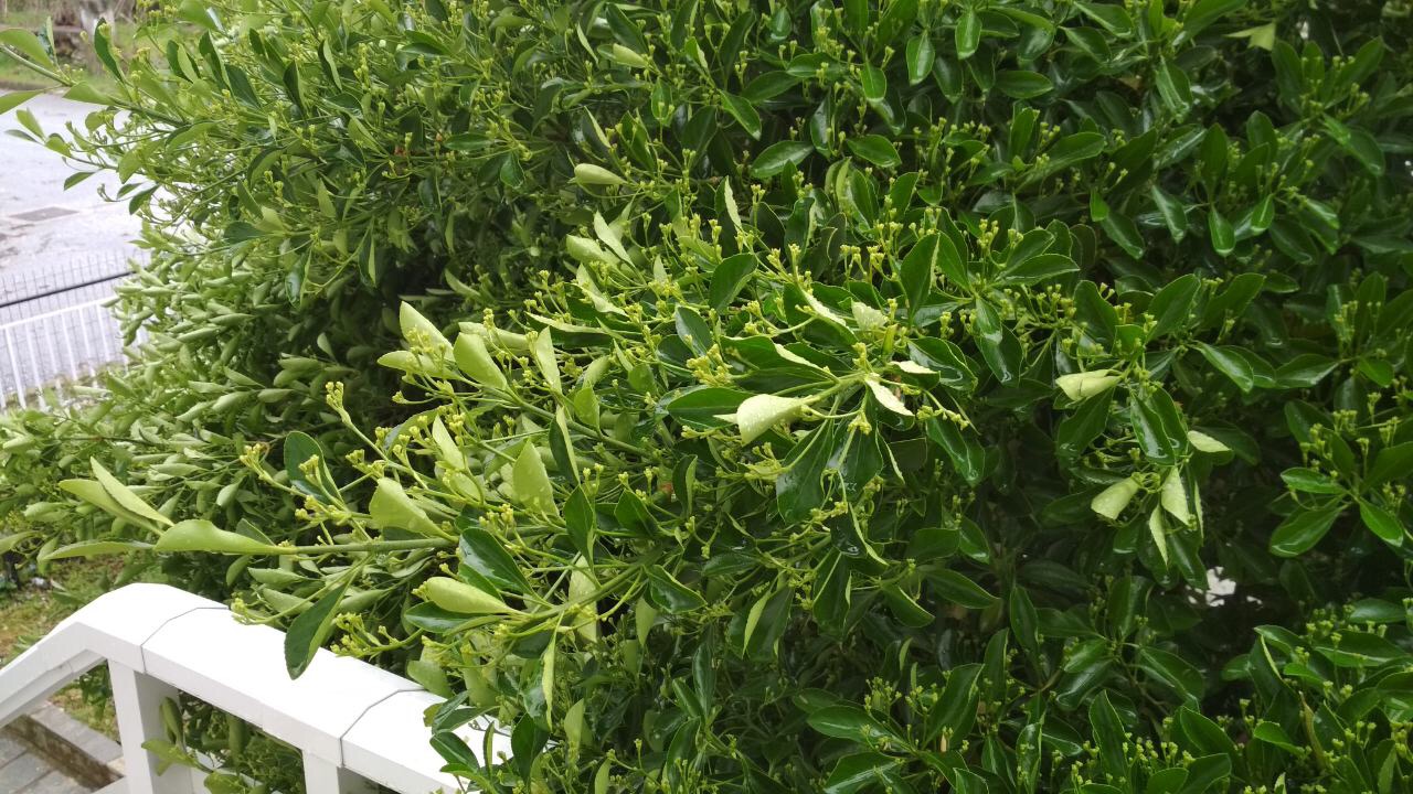 DDA23076-C64F-42D9-967D-2332058A9968