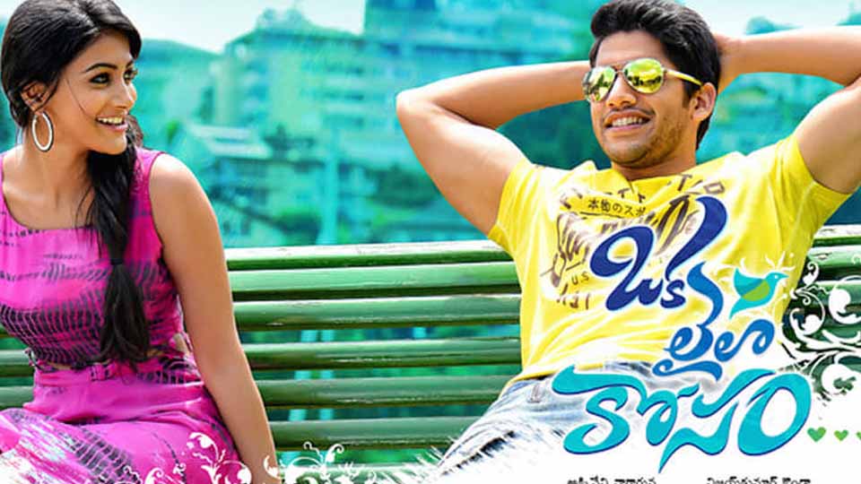 Love Action Dhamaka (Oka Laila Kosam 2014) Hindi Dubbed Love Action Dhamaka (Oka Laila Kosam 2014) Hindi Dubbed