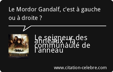 citation-le-seigneur-des-anneaux-la-communaute-de-l-anneau-frodo.png