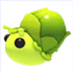 Sprout Snail