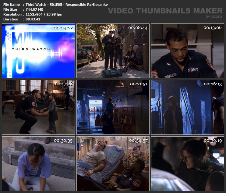 Third Watch - S01E05 - Responsible Parties.mkv