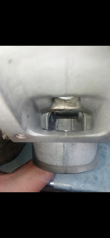 Screenshot_2022-06-12-11-39-55-558_com.google.android.apps.photos