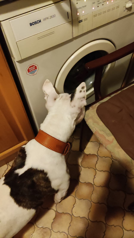 0B8E35E0-96B8-48DA-8C44-3D1C0C3B27CD