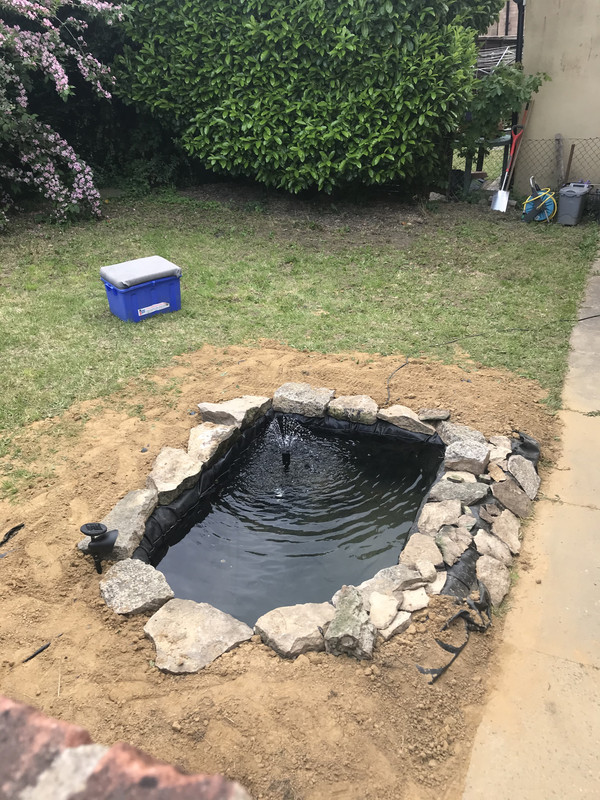 3C762EBA-8B22-48AB-9822-367847CFB297