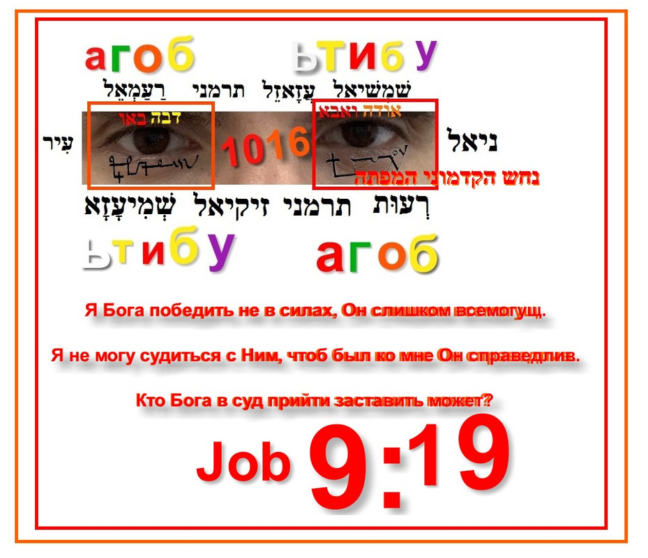 https://i.postimg.cc/D0q8sD0S/photo-2025-07-08-01-18-00.jpg
