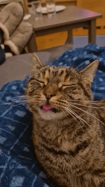 ezgif-2272c8a76fb0cade.gif