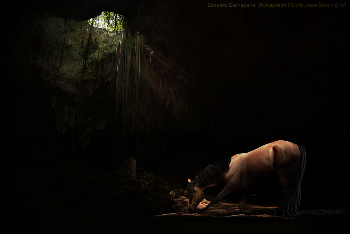 37ED0DE9-B559-4C74-AEAC-0AD17AE9098A