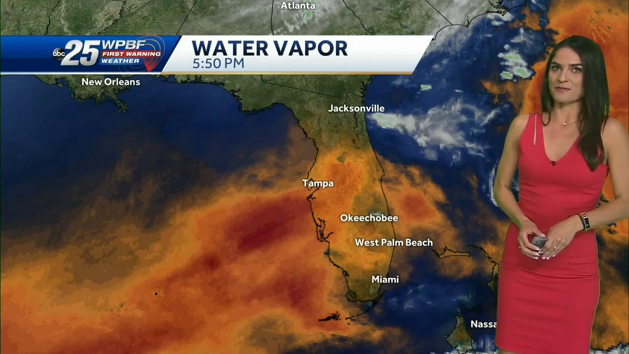 11.22 - 22.00.00 - Wpbf 25 News At 5 00.-1.m4v_snapshot_00.48.08_[2020.11.23_14.35.10]