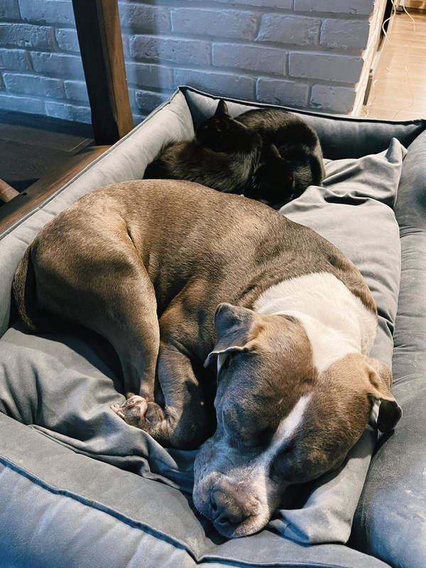 9D89B923-0AA6-47B2-8931-766CAE318ED4