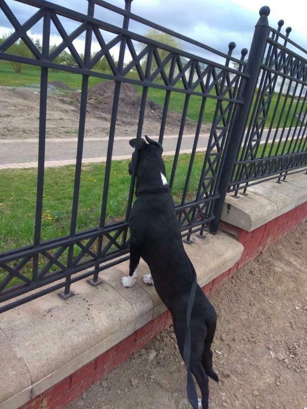 9D7C7405-BB47-4CEE-8685-39AA8C537684